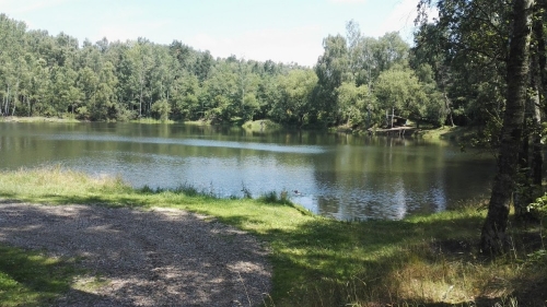 Stanování