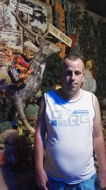 Stanování