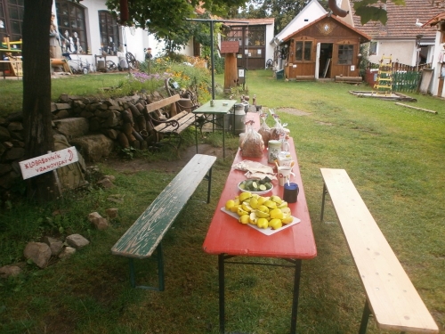Stanování