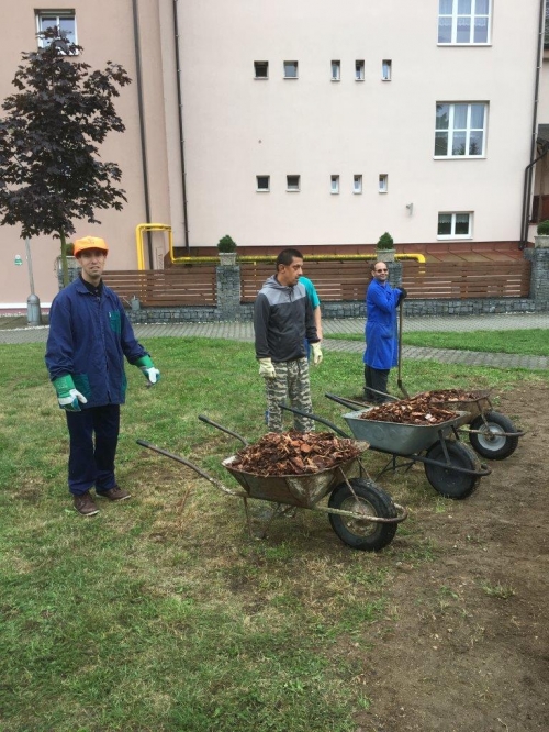 Nová venkovní terapie v Domově Bystřice