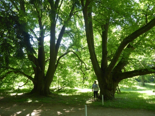 Celodenní výlet - rozhledna Bolfánek