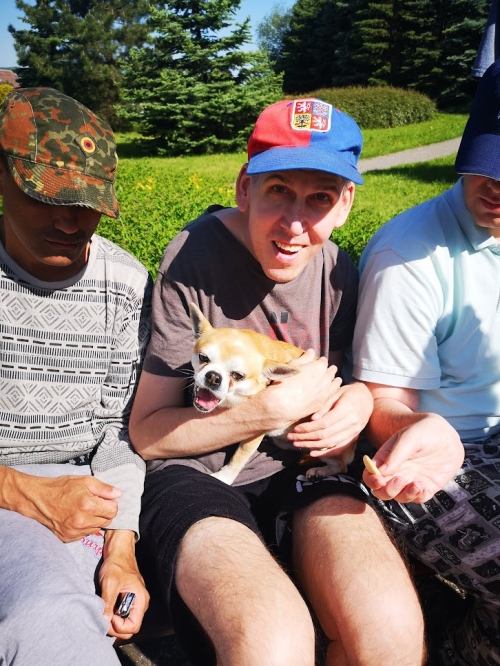 Canisterapie