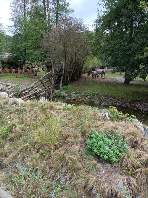 Výlet do ZOO