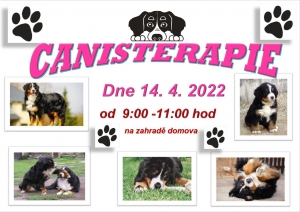 Canisterapie