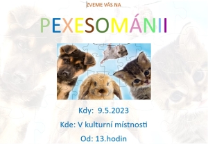 Pexesování